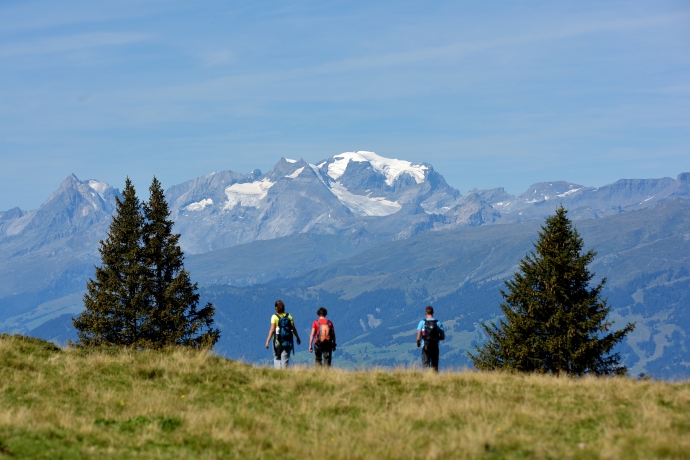 wandern_brambruesch_dreibuendenstein_claudiogodenzi_24