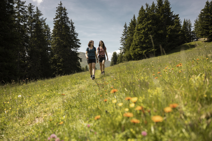wandern_brambrueesch_blumenwiese_dominik-baur