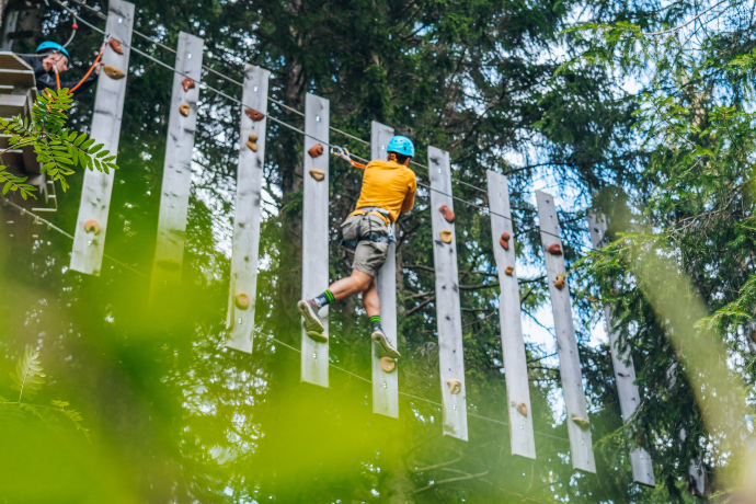 Person wearing a helmet and harness climbs a vertical forest adventure course, surrounded by tall trees