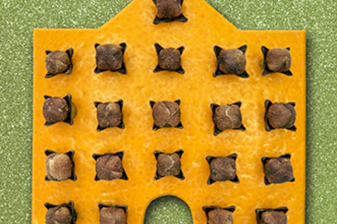 Ein stilisiertes Haus in Form eines Adventskalenders, gestaltet aus einem Stück Orange oder Teig, das mit Nelken verziert ist. Die Struktur erinnert an Fenster, während der grüne Hintergrund festliche Stimmung vermittelt.