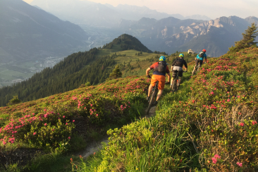 mountainbiken_brambruesch_lady-patricia-trail_michaelchrist_2.jpg
