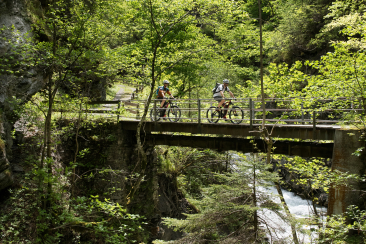 mountainbike_brambruesch_passugg_jean-lucgrossmann.JPG