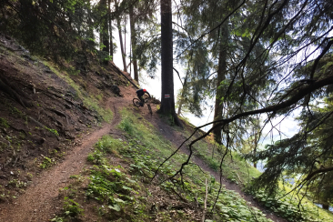 mountainbiken_brambruesch_antennatrail_michaelchrist_2.jpg