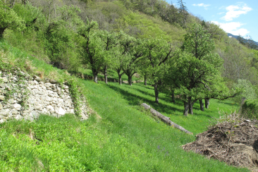 Stadtfuehrung Seidengut