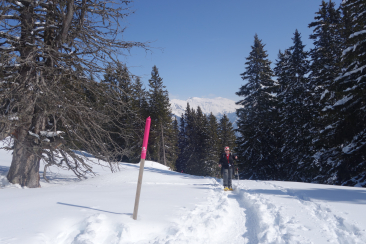 Schneeschuh-Tour Dreibündenstein