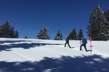 Schneeschuh-Tour Dreibündenstein
