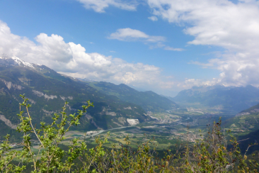 Ein weiter Blick über das Churer Rheintal mit seinen grünen Feldern und der sich schlängelnden Rheinlinie. Umgeben von hohen Bergen mit teils schneebedeckten Gipfeln breitet sich die Landschaft unter einem leicht bewölkten Sommerhimmel aus.
