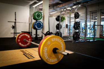 Ardisla Fitness Domat/Ems