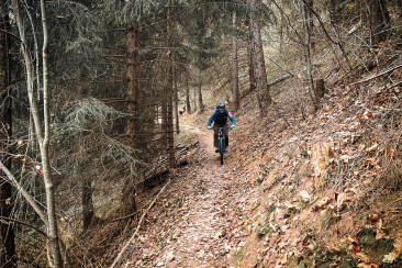 Trail im Herbst oberhalb vom Benis Boden